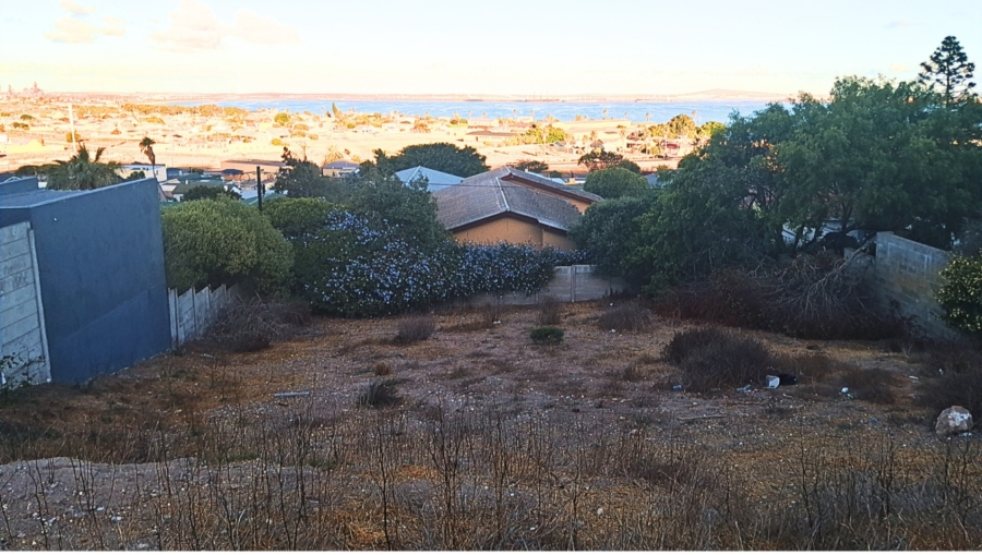 0 Bedroom Property for Sale in Saldanha Western Cape